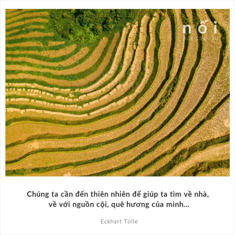 82299348_120300552817140_967380137190359040_o