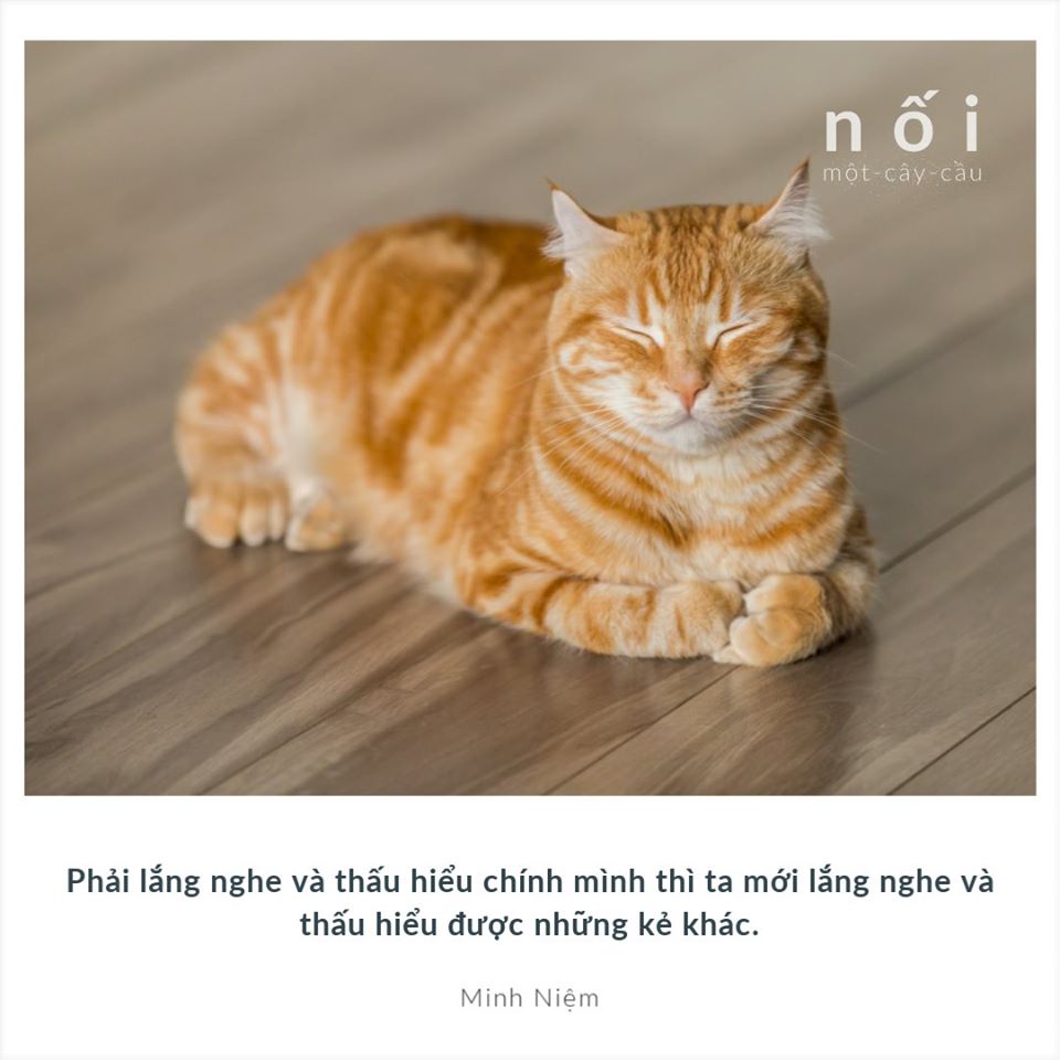 83132606_120159152831280_1740916232669888512_o