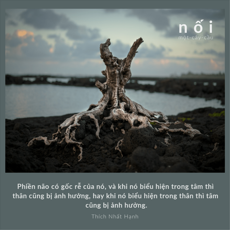 83225821_119874942859701_3878725011569115136_o