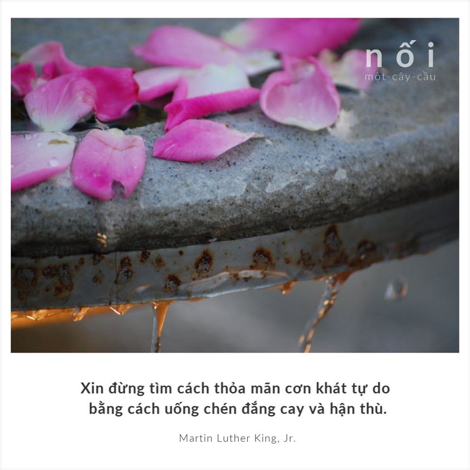 83330143_122260245954504_8814791913950412800_o