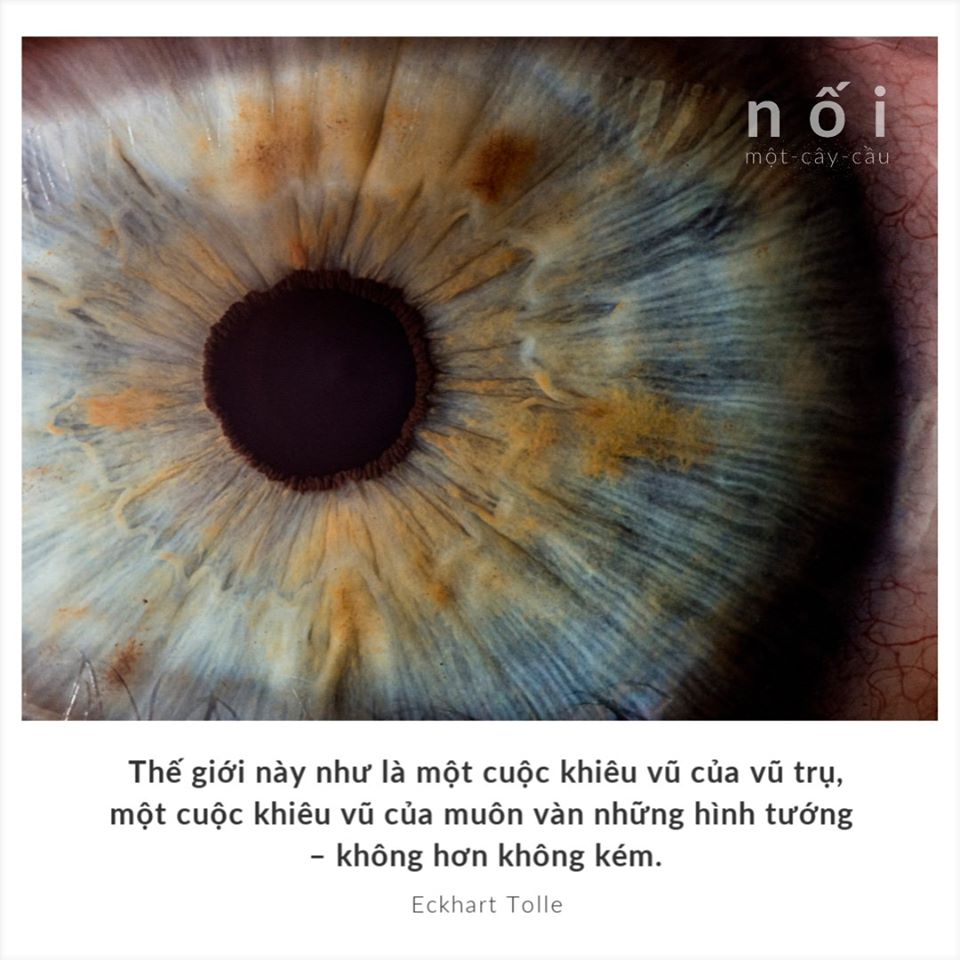 83347456_120291592818036_8861778001470160896_o