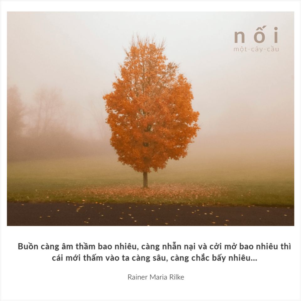 89034937_136637331183462_3606101661807804416_o