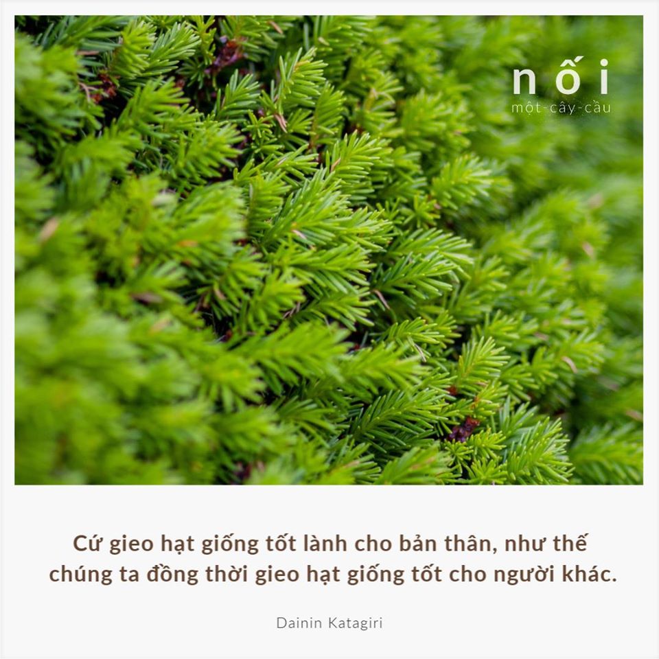 90792089_146816403498888_4240087767259807744_o