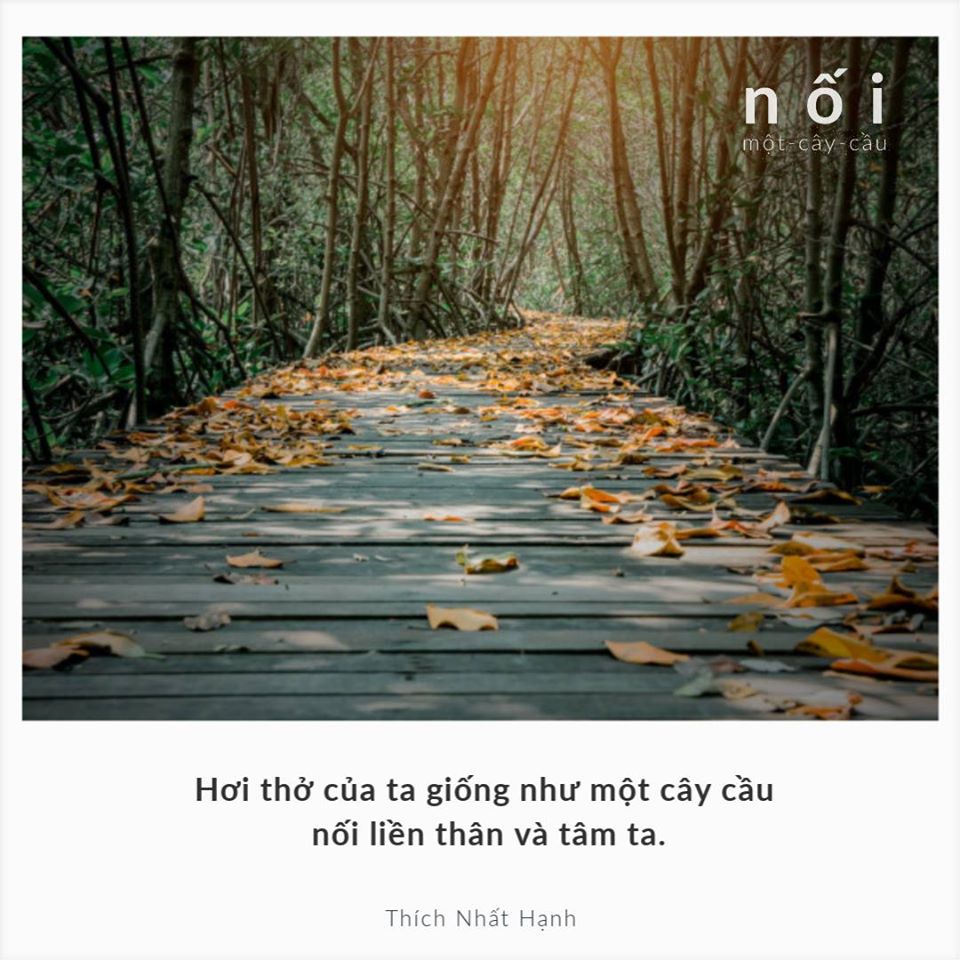 91991717_148601913320337_7384995029074313216_o